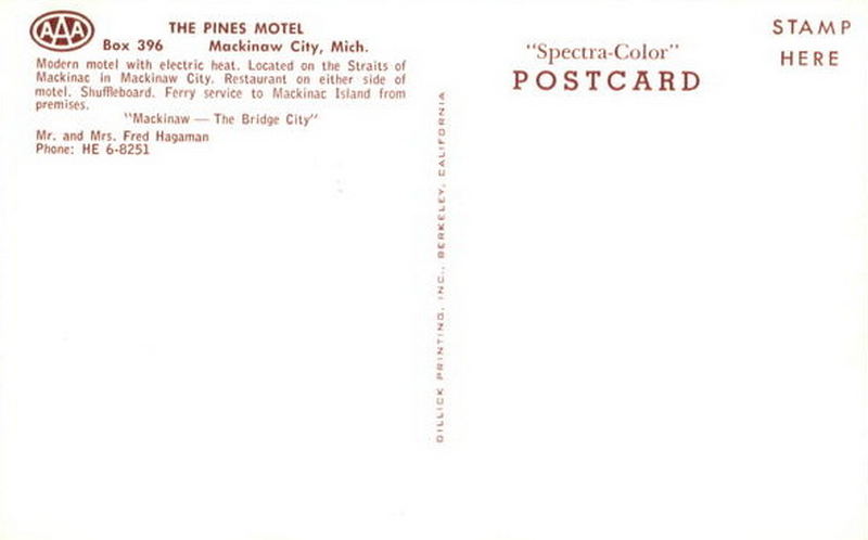 Pines Motel - Vintage Postcard